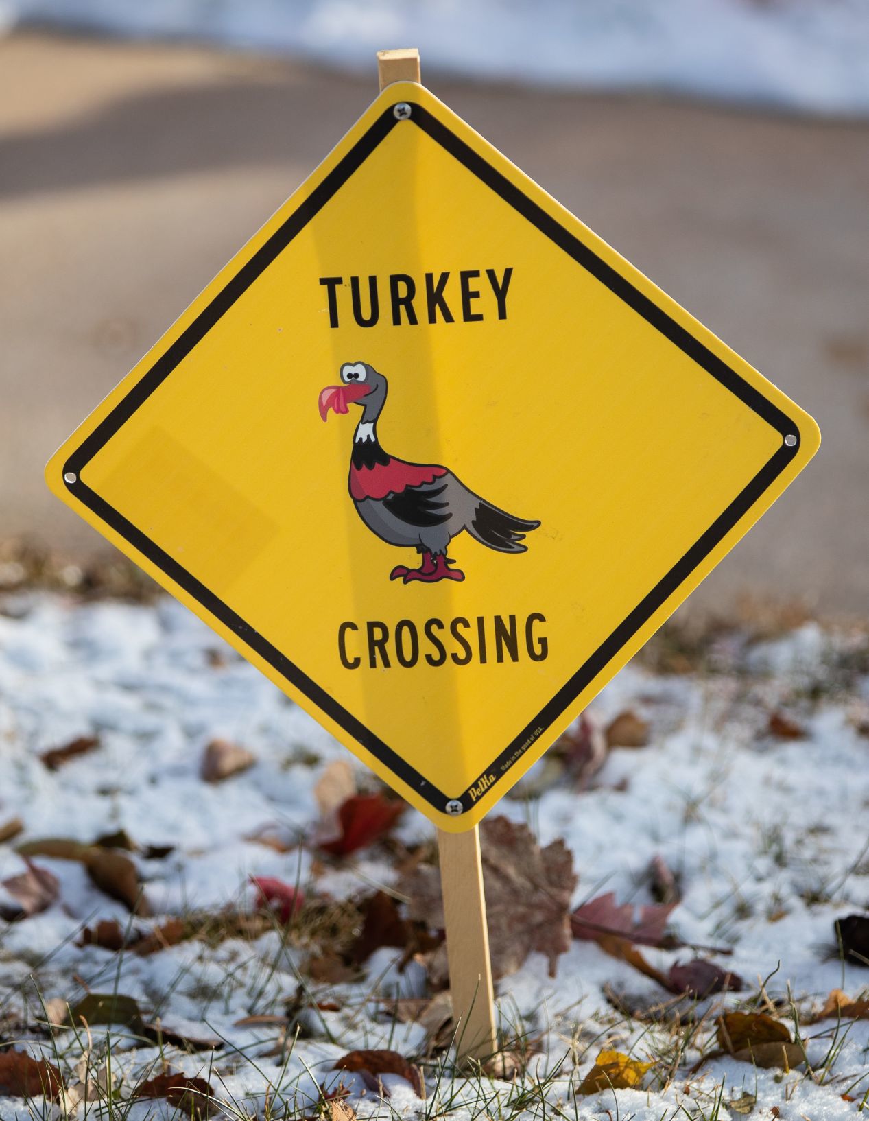 Turkey wars